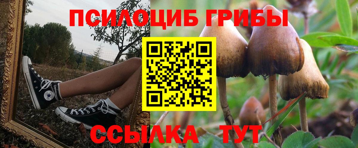 Галлюциногенные грибы Cubensis  Вход с VPN  Чебаркуль  Псилоцибиновые грибы мицелий 